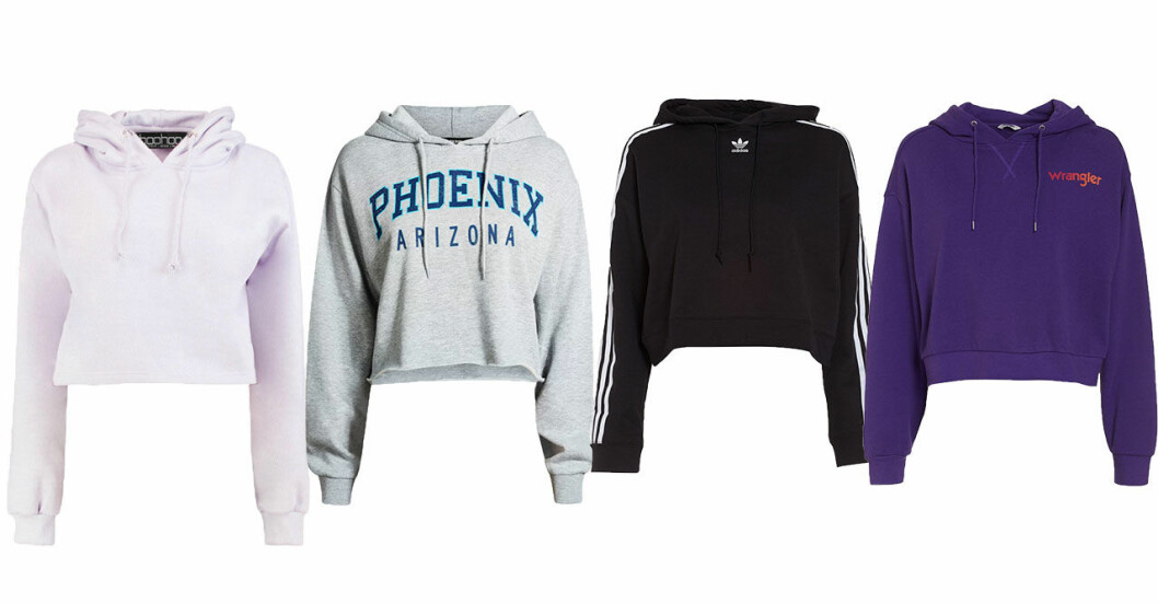 trendiga-hoodies-host-2018