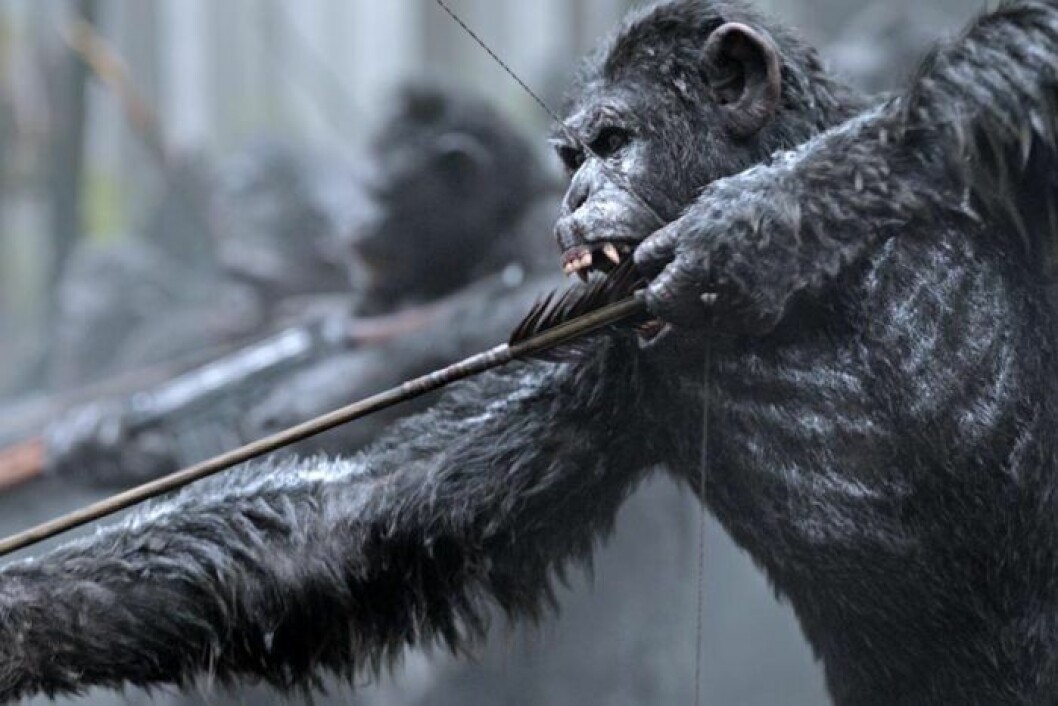 <em>War for the Planet of the Apes</em> kommer till Viaplay i maj. Foto: Viaplay War for the planet of the apes kommer till Viaplay i maj.